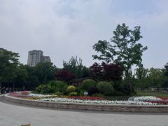 -新江湾城公园
