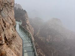 -大芦花风景区