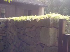 -法云古村