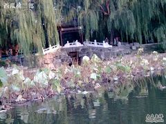 -紫竹院公园冰场