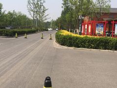 -东郊湿地公园
