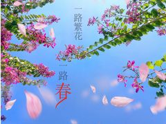 -金鸡山公园