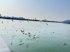 -蠡湖大桥公园