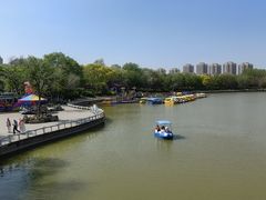 -塘沽森林公园