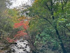 -本溪老边沟风景区
