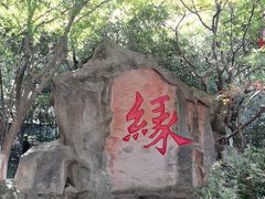 -杭州黄龙洞