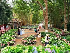 -广西壮族自治区药用植物园