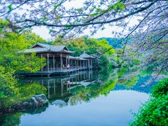 -西湖外事游船(花港观鱼码头)