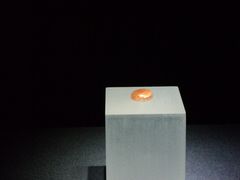 -湖南省地质博物馆