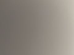 -济南喜来登酒店