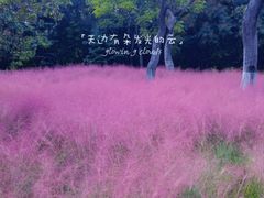 -云龙山