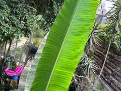 -北京植物园-展览温室