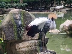 -黔灵山公园