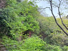 -东天目山风景区