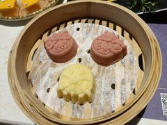 -点都德·毕德寮
