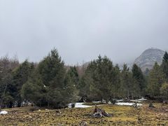 -硗碛藏寨·神木垒景区