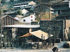 -MOJ coffee(瓯海泽雅水碓坑店)