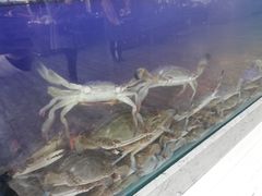 -一号码头蒸汽海鲜自助