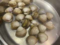 -青蓬蒸汽海鲜·深圳老字号·团建聚会(壹方城店)