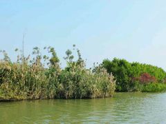 android_upload_pic-大湾区中央湿地公园