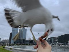 -星海广场