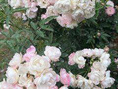 -人民公园(罗湖区)