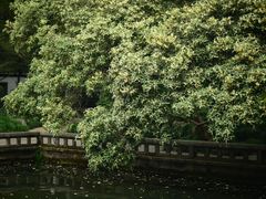 -杭州植物园