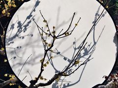 -无锡梅园公园