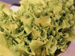 -杨记齐齐哈尔烤肉(总店)