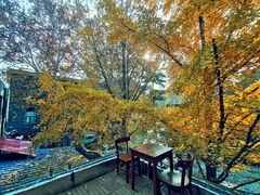 -腾爱熊猫咖啡生活馆(老东门店)