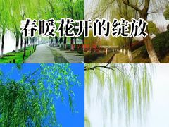 -深圳万象城