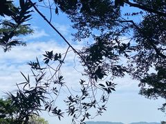 -火炉山森林公园