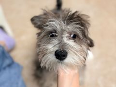 -FAELING PETS美天灵宠物(富力广场店)