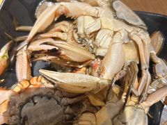 石甲红-青岛蓝海御华大饭店（金沙滩店）·蓝钻国际美食自助百汇
