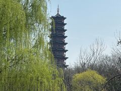 -江苏三台山国家森林公园