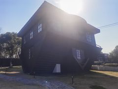 -金山农民画村-枫泾波兰倒置屋