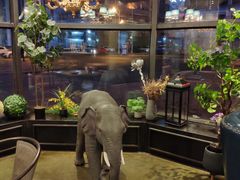 -LYFATTI 莱芙缇(赣水路店)