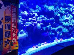 -太平洋海底世界