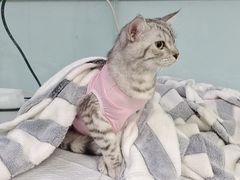 -达爱动物医院·犬猫分区·CT·复杂眼科(远洋山水分院)