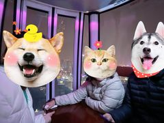 -泰盛楼顶摩天轮