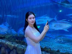 -华夏文旅西安度假区