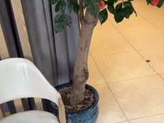 -麦悠悠·SPA·推拿(沈杜公路地铁站店)