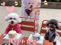 -popot博朴(徐汇店)