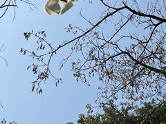-阅江楼风景区