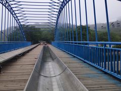 -富斯特索道