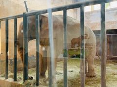 -石家庄市动物园