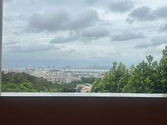 -仙岳公园