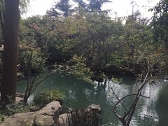 -三大炮豆花铺(锦里店)