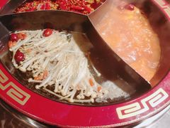 -蜀辣居鲜货老火锅(红牌楼店)