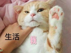 -兔兔家蛋糕甜品(德胜店)